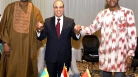 Vers un nouveau partenariat : la confédération AES et l&rsquo;Égypte renforcent leurs liens économiques