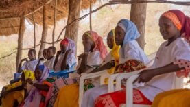 La réussite du Parc National de Zakouma, un enjeu pour les communautés locales et la biodiversité.