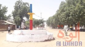 Un drame tragique à Laï : un jeune homme tue un enfant de 4 ans à Gabri-Ngolo