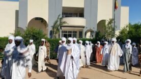 Le Délégué Général du Kanem et le CPN/MPS unissent leurs efforts pour contrer les feux de brousse.