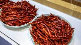 L&rsquo;Afrique s&rsquo;affirme au CIIE : des produits innovants pour des partenariats fructueux.