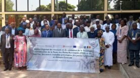 Nouvel atelier en Afrique centrale pour éradiquer la peste des petits ruminants et protéger l&rsquo;élevage local
