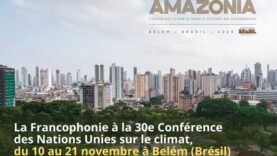 Priorités et enjeux du programme à Belém : vers un avenir durable