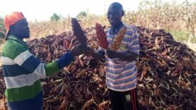 À Abtouyour, un cultivateur exemplaire transforme sa passion en modèle de durabilité