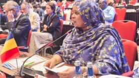 Fatimé Aldjineh Garfa défend les enjeux du Tchad à la 46e conférence ministérielle