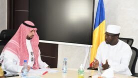 Renforcement de la coopération avec le FSD pour dynamiser la construction de la route Ngouri–Bol