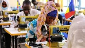 Tchad et Hongrie unissent leurs expertises pour faire avancer le savoir-faire local.