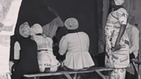 elles font bouger les lignes des cabarets : le tabou se lézarde
