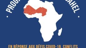 Trois postes à pourvoir : rejoignez le Programme SD3C pour un impact durable