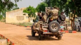 Tragédie dans l&rsquo;État de Borno : des dizaines de victimes en Nigeria