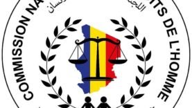 Le conseil constitutionnel du Tchad remet en cause le renouvellement à la CNDH