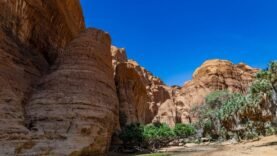 Tchad : découverte tragique du corps du touriste français disparu