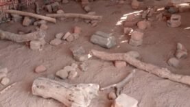 Vridjibao : une école au cœur de l&rsquo;oubli dans le Mayo-Kebbi Ouest face à l&rsquo;urgence éducative