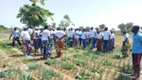Des agripreneurs en visite à Kélo pour booster leurs compétences et dynamiser l’agriculture locale.