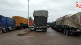Interdiction du cumul importateur-commissionnaire : six mois pour se conformer aux nouvelles règles