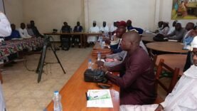 Logone oriental : initiatives locales pour résoudre les conflits agriculteurs-éleveurs