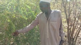 Adoum Nassar : l’audace d’un maraîchage bio qui transforme l’agriculture