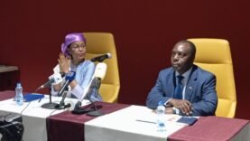 Le Tchad approuve son rapport de mise en œuvre du programme d’action de Doha : un pas vers le développement durable
