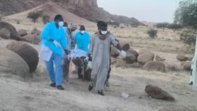 Décès d&rsquo;un touriste français dans l&rsquo;Ennedi : enquête officielle en cours