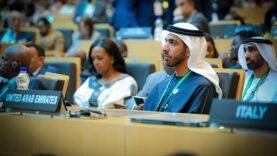 Émirats renforcent leurs liens avec l&rsquo;Afrique : 110 milliards de dollars en jeu