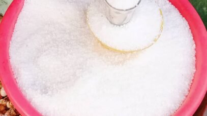 IMG-20260219-WA0314.jpg