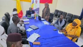 Ouaddaï : mobilisation provinciale autour de l&rsquo;approche Nexus pour un avenir durable