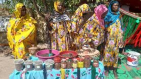 Une semaine d&rsquo;activités pour les femmes se conclut au Hadjer Lamis avec la SENAFET 2026, promesse de nouveaux horizons.
