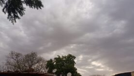 Les premières pluies à Baro : le Guera retrouve vie sous un ciel menaçant.