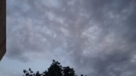 La première pluie de l&rsquo;année relance les espoirs agricoles au Guéra
