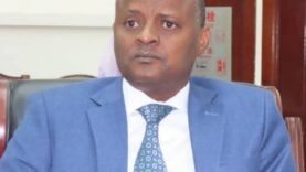 Le Tchad, moteur de croissance en CEMAC prévu pour 2026