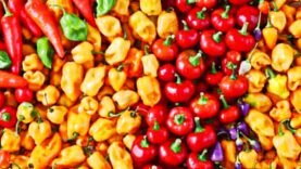 Canicule : l’impact méconnu du piment sur notre corps