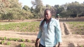 Soldjim Bouloumbé : transformer le monde rural au féminin
