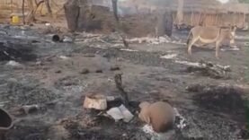 Tragédie à Mofoki : un incendie tue un homme et ravage la sous-préfecture
