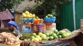 Tchad : les vendeuses de citron de N’Djamena en lutte face aux prix en hausse