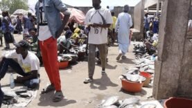 Le prix du poisson explose à N&rsquo;Djamena : impact sur les ménages
