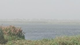 Brume de poussière : perturbations majeures sur le lac Tchad