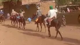 Habitants d&rsquo;Andi et Melfi unis contre les vols de bétail persistants