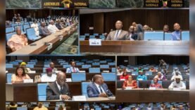 Cameroun : un poste de vice-président pour renforcer la gouvernance
