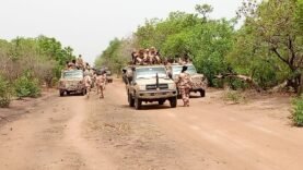 Sécurisation renforcée à la frontière Tchad-RCA : une force mixte en action