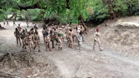 Opération Al Hamamia : renforcement de la sécurité à la frontière Tchad-RCA