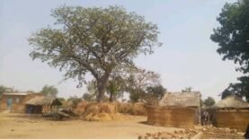 Un père enlevé par des hommes armés à Nanaye : la sécurité en question au Mayo-Kebbi Ouest