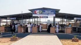 Un nouveau hangar de 108 places revitalise le marché Ardeptimane de N&rsquo;Djamena