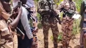 Triomphe sécuritaire : coopération Tchad-Centrafrique-Cameroun déjoue un réseau de voleurs de bétail