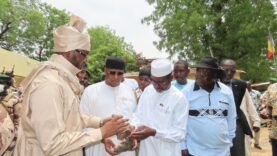Arrestation de braconniers au Tchad : deux rhinocéros tués au parc de Zakouma