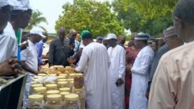 Moundou : la journée bilan agricole 2025-2026 éclaire l&rsquo;avenir du secteur
