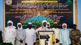 Appel au désarmement : le Maoulid à Batha mise sur la cohésion sociale