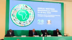 Industrie : la BAD encourage l&rsquo;Afrique à transformer ses ressources localement