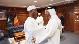 Les Émirats condamnent l&rsquo;attaque en Tchad et réaffirment leur soutien à la stabilité du pays