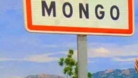 réseau de malfaiteurs démantelé à mongo : une paix retrouvée à guéra