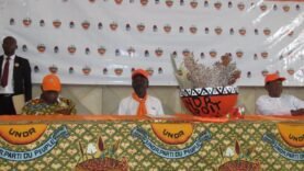 L’UNDR déplore les attaques au Lac Tchad et appelle à une réponse déterminée
